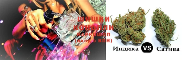 крисы Алексин