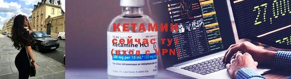крисы Алексин