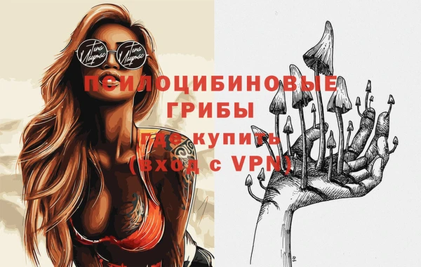 ПСИЛОЦИБИНОВЫЕ ГРИБЫ Магас