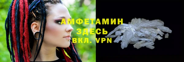 крисы Алексин