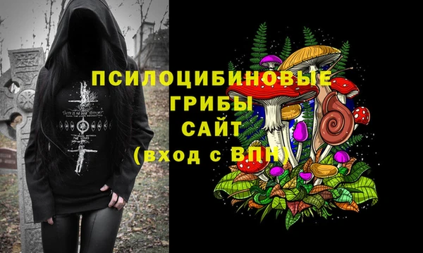 гашик Алзамай