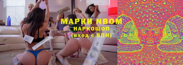 крисы Алексин