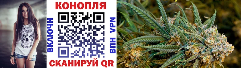 Шишки марихуана гибрид  Красногорск 